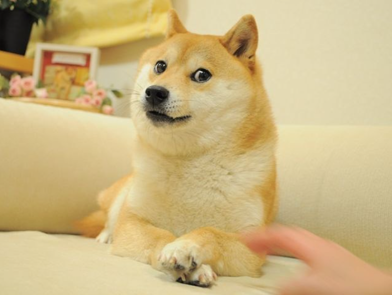 kabosumama.PNG