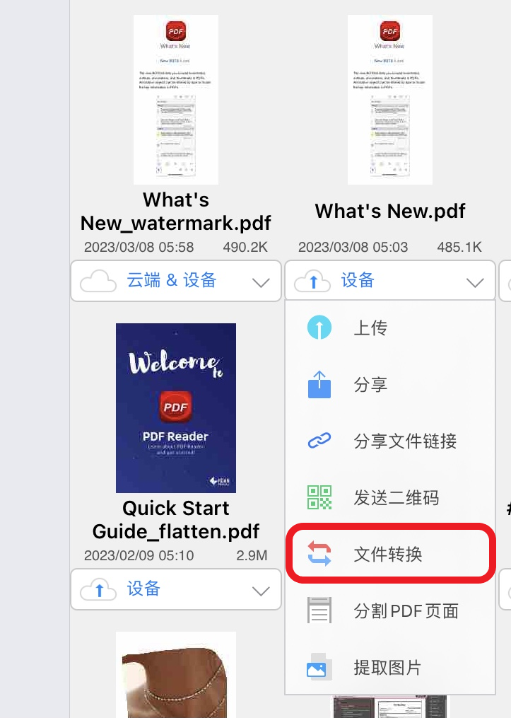 PDF_iOS_conversion____05.png