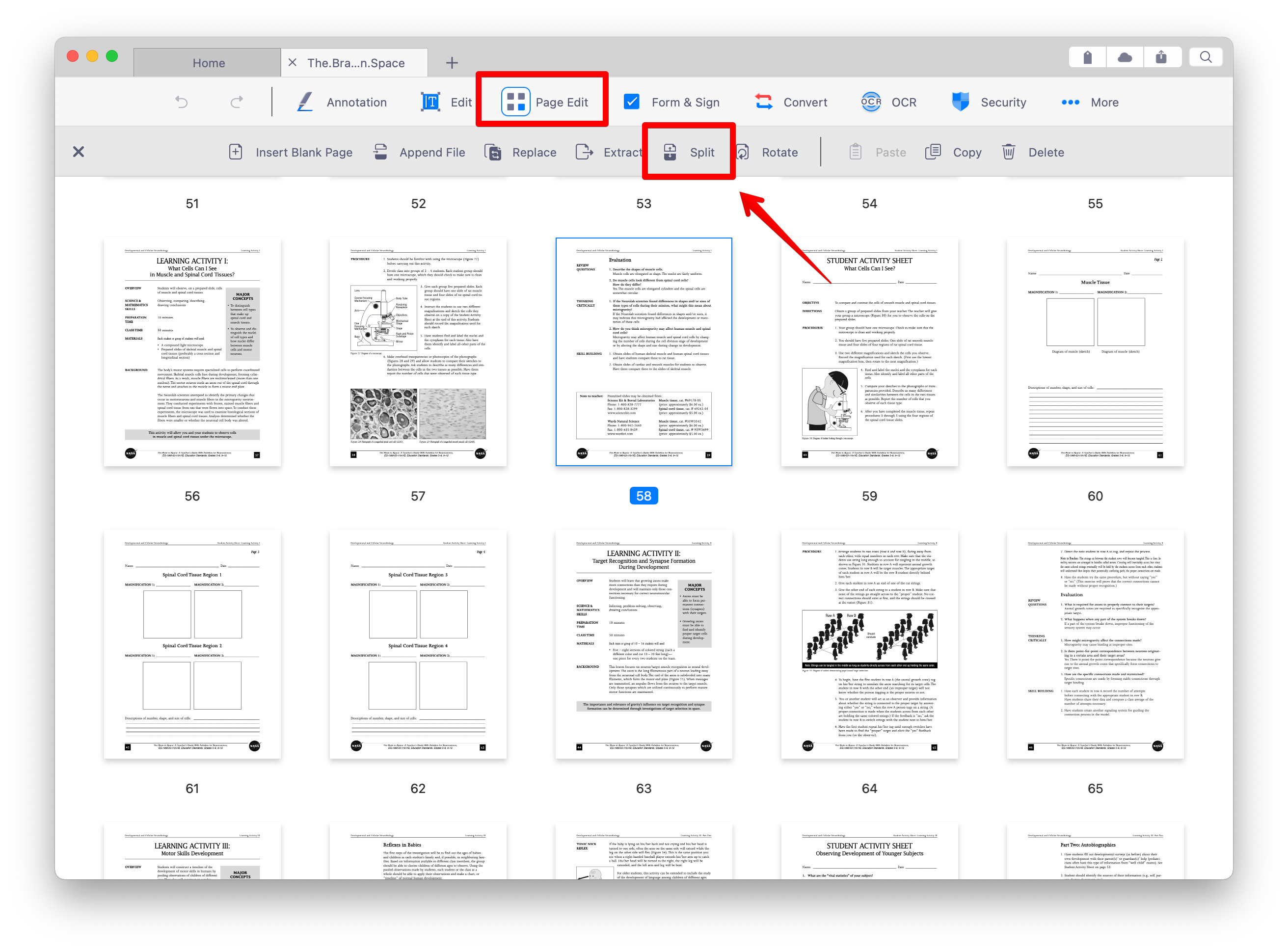 2022_PDF_Mac_Split_01.png