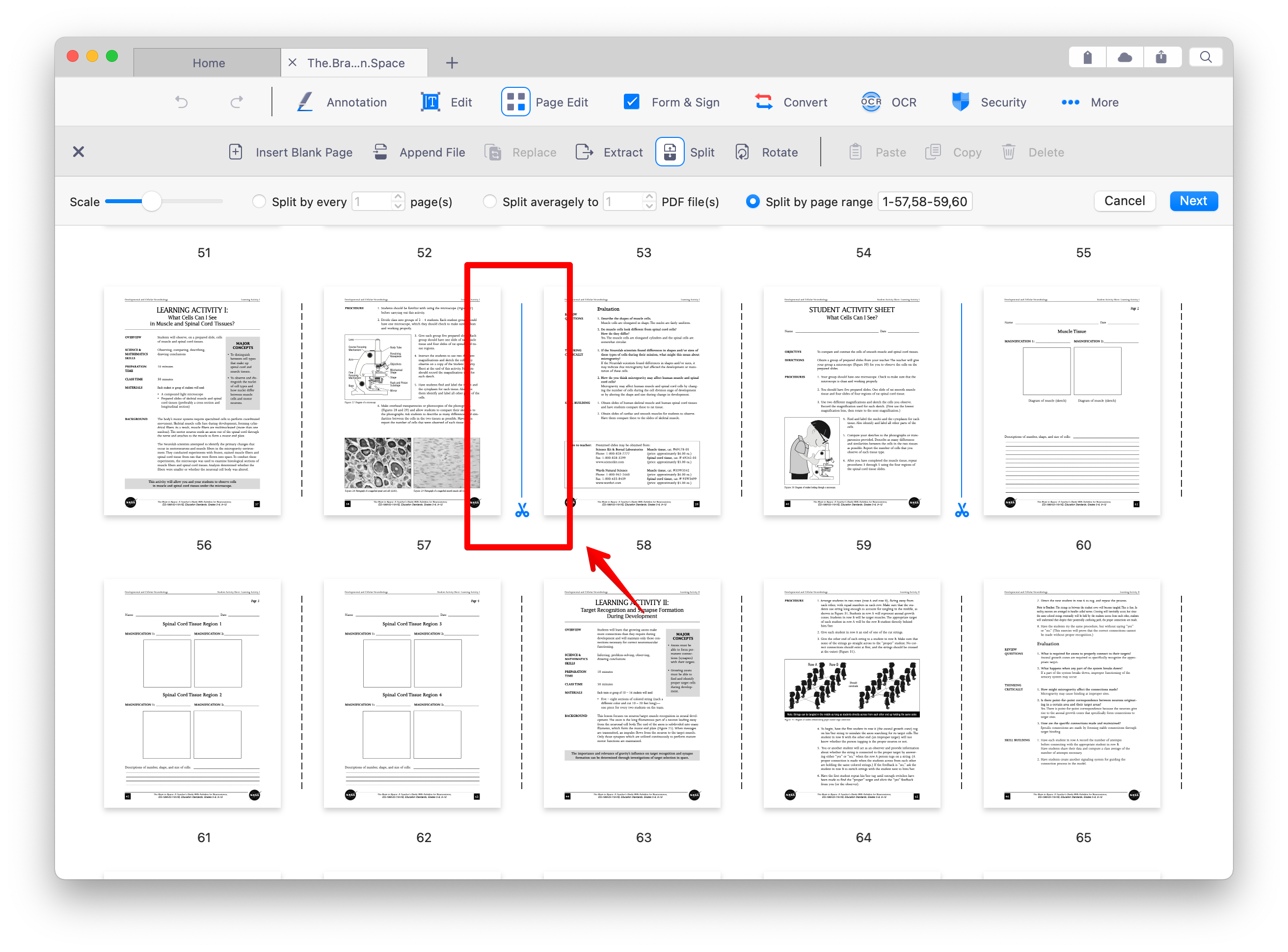 2022_PDF_Mac_Split_03.png