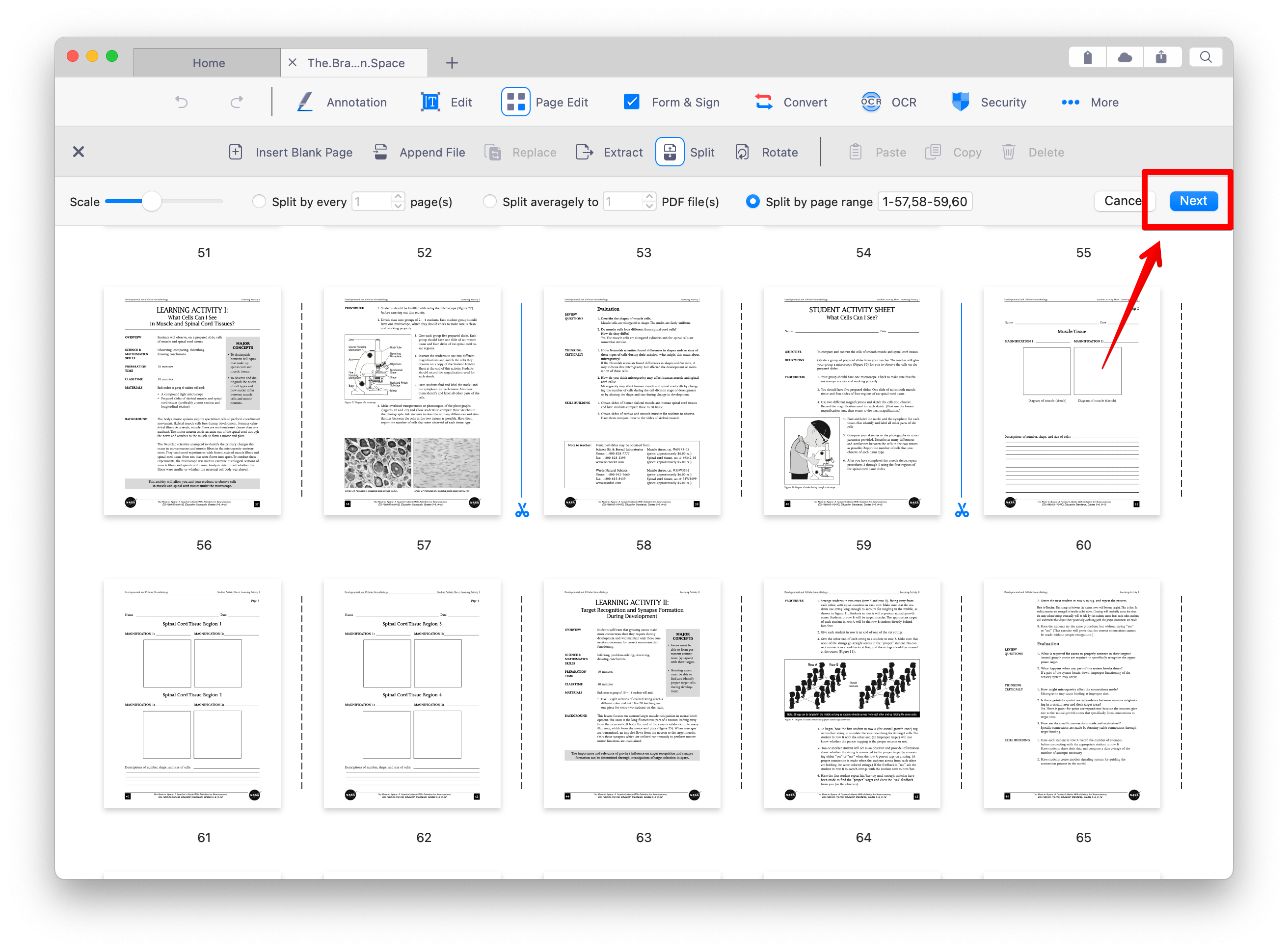 2022_PDF_Mac_Split_04.png
