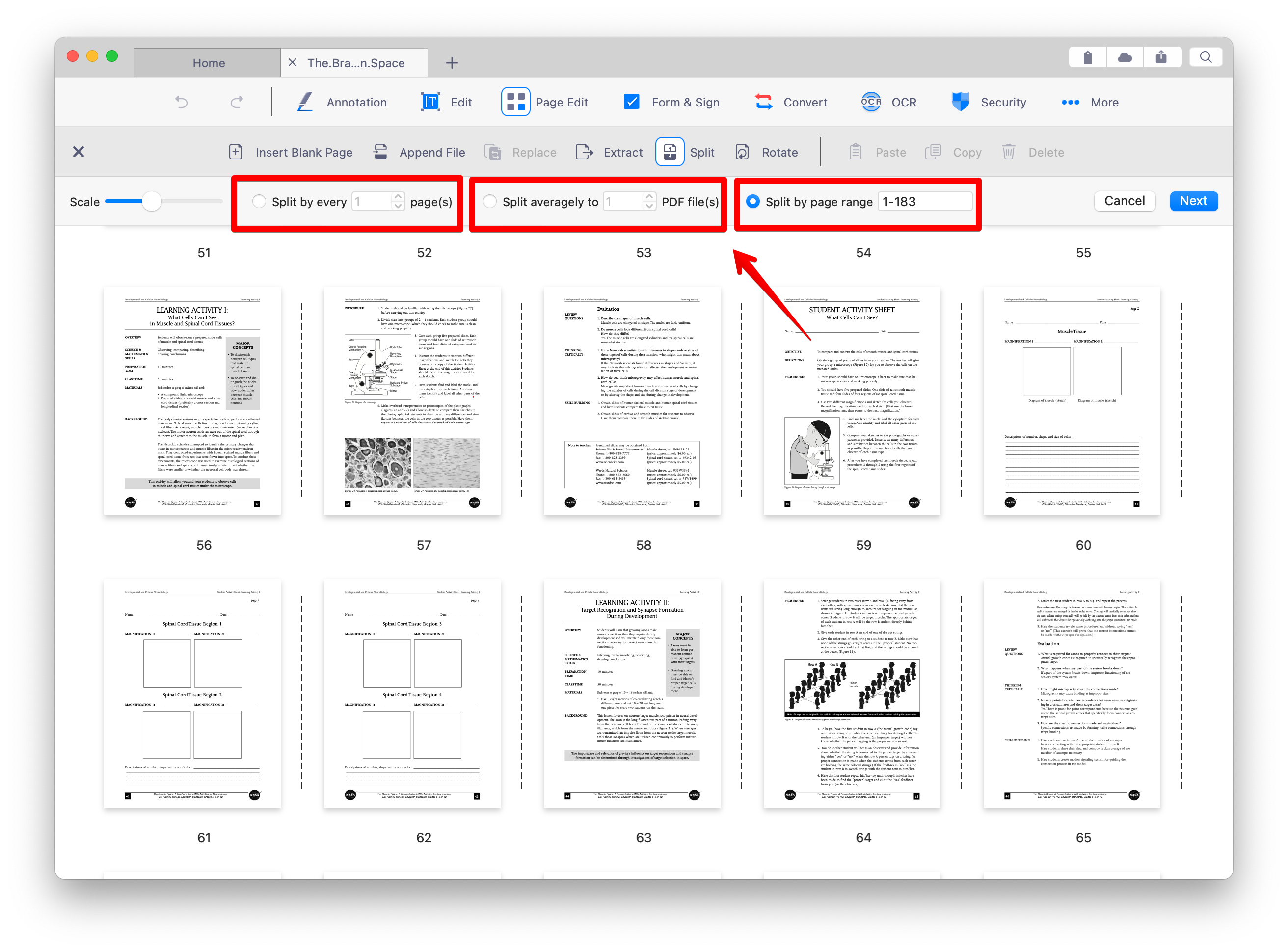 2022_PDF_Mac_Split_02.png