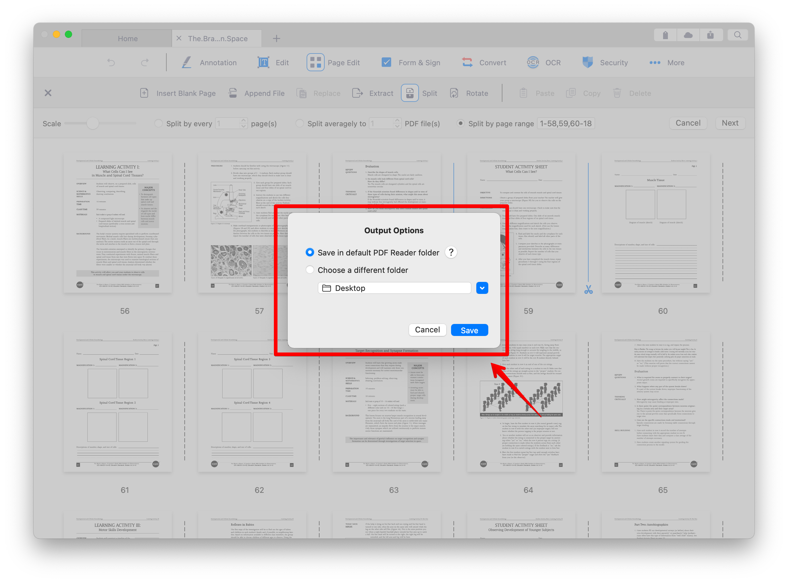 2022_PDF_Mac_Split_05.png