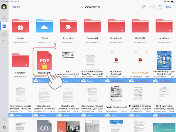PDF_iPad_Remove_Security50_.gif