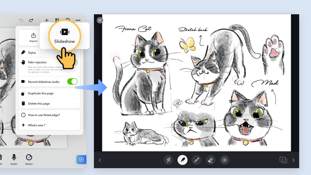 14_Present_in_Slideshow_Mode.png