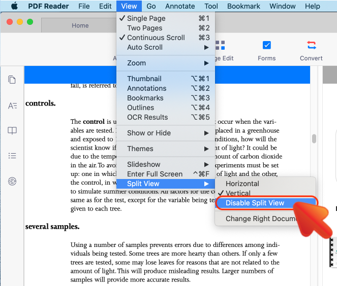 PDF_Mac_Split_View_06.png