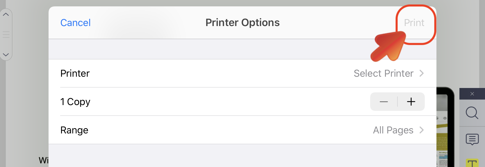 View_PDF_Print_Printer.PNG