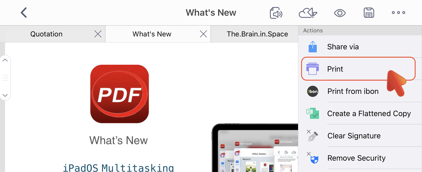 View_PDF_Print.PNG