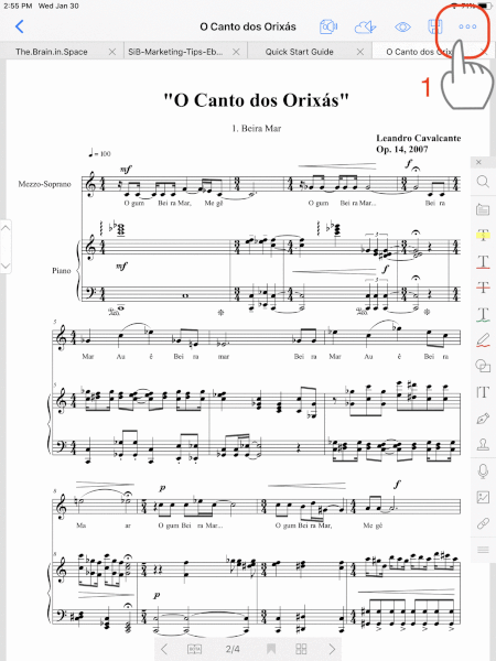 201901_PDF_iPad_Auto_Flow50_.gif