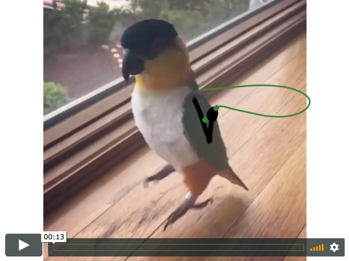 Animation_Desk_Live_Action_Video_01.png