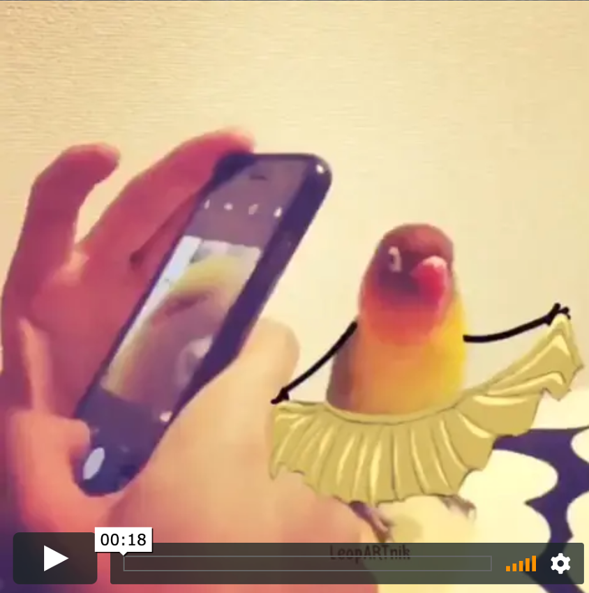Animation_Desk_Live_Action_Video_02.png