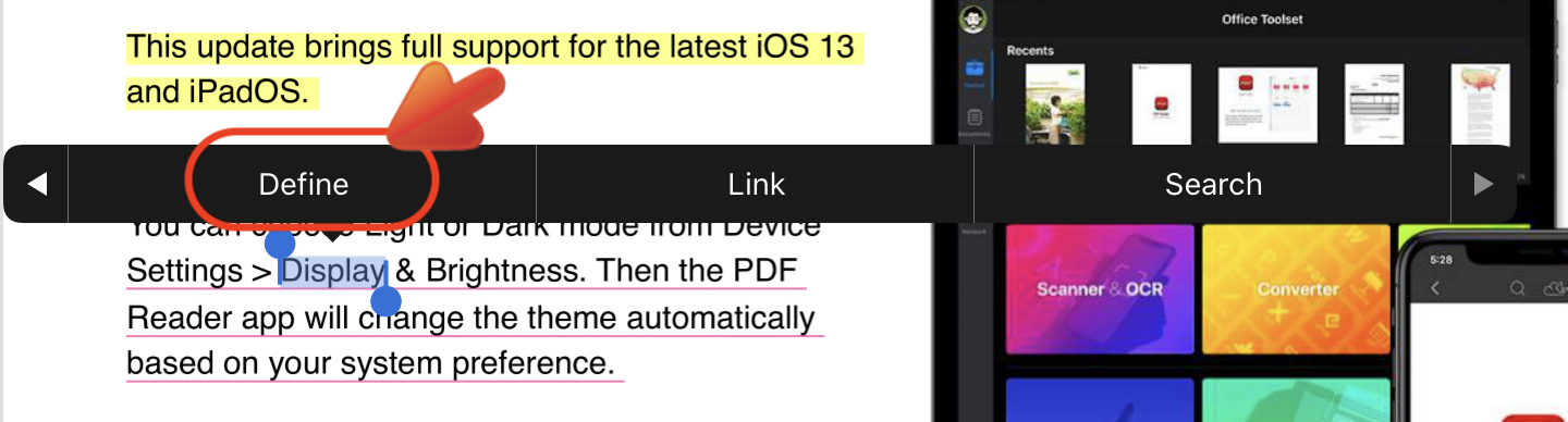 View_PDFs_Define.PNG