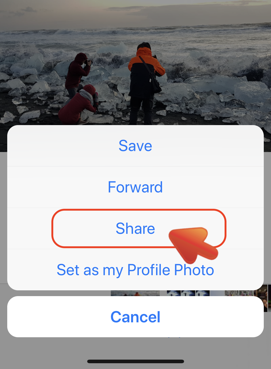 PDF_iPhone_Get_Files_WhatsApp_02.PNG