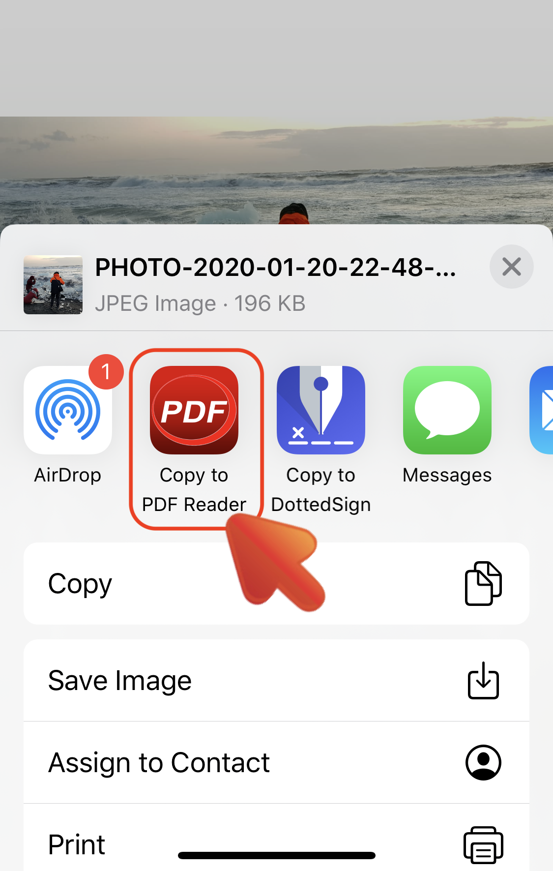 PDF_iPhone_Get_Files_WhatsApp_03.PNG