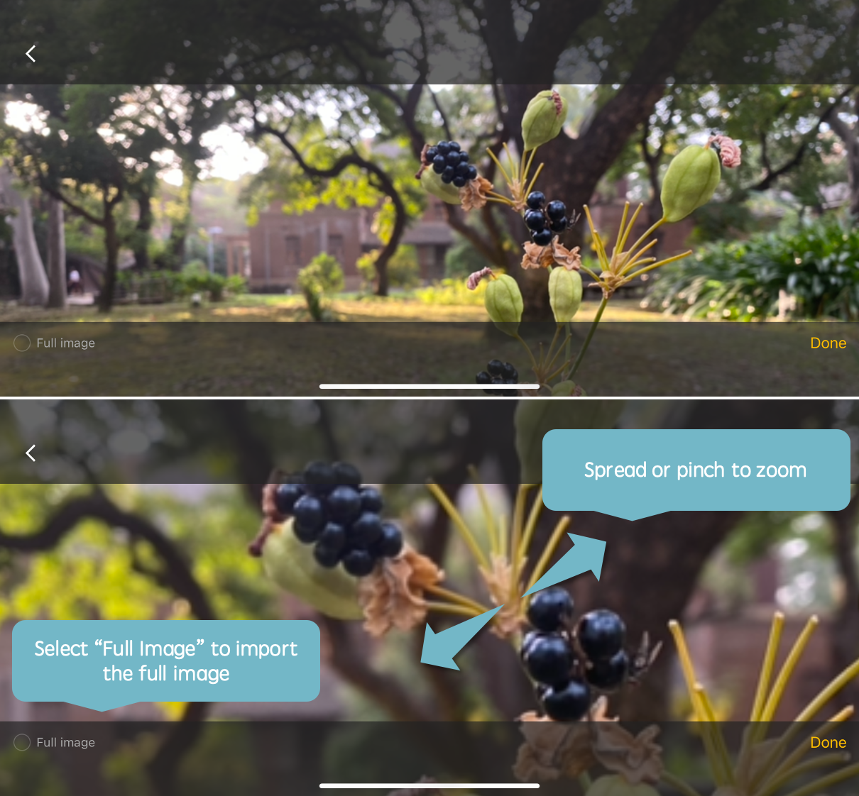 Animation_Sequence_insert_photo_new_02.png